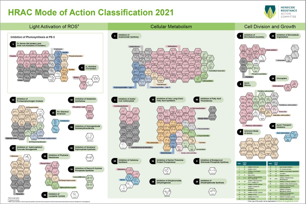 Take Action Herbicide Classification Chart